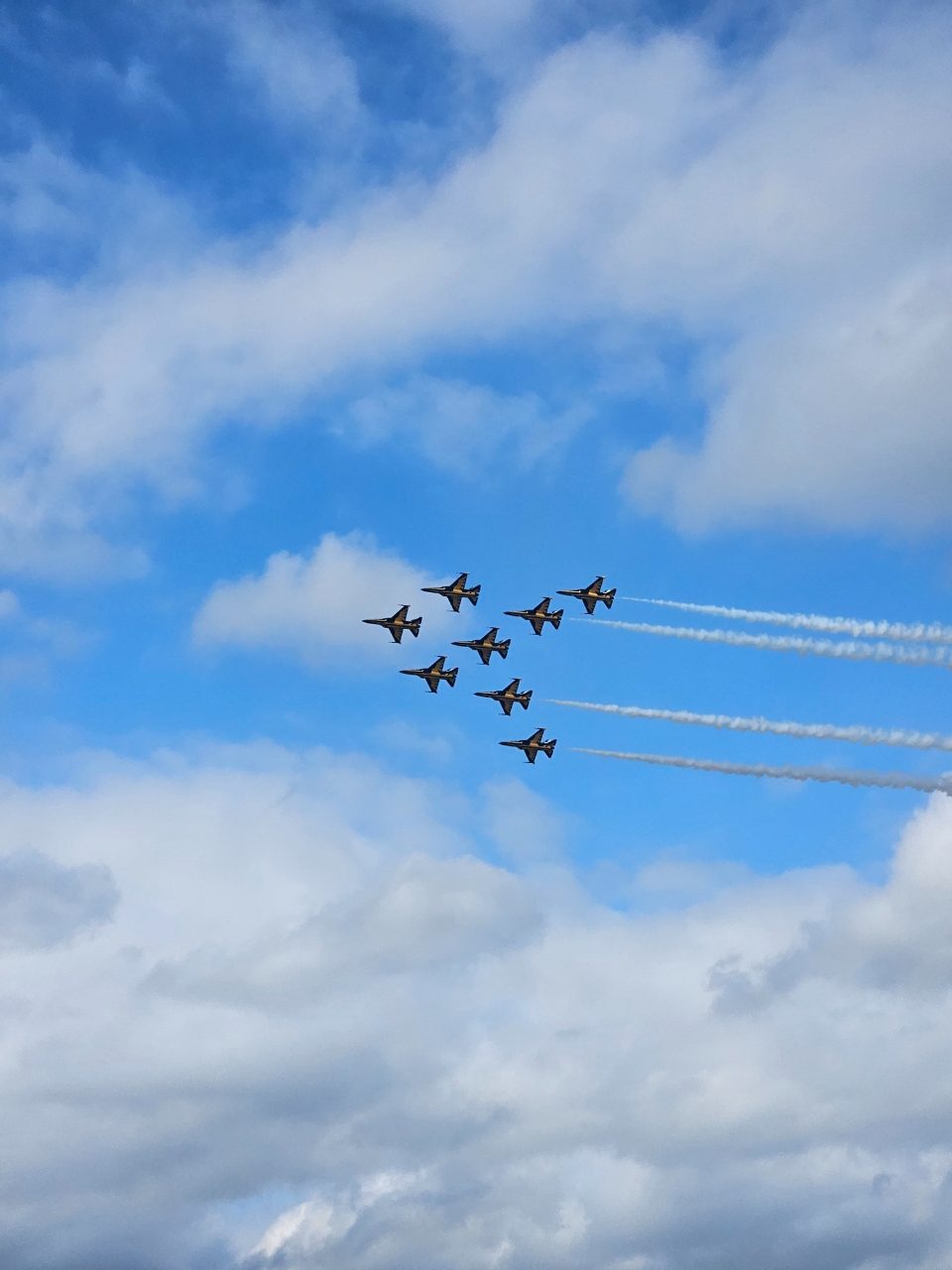 Black Eagles in formation
